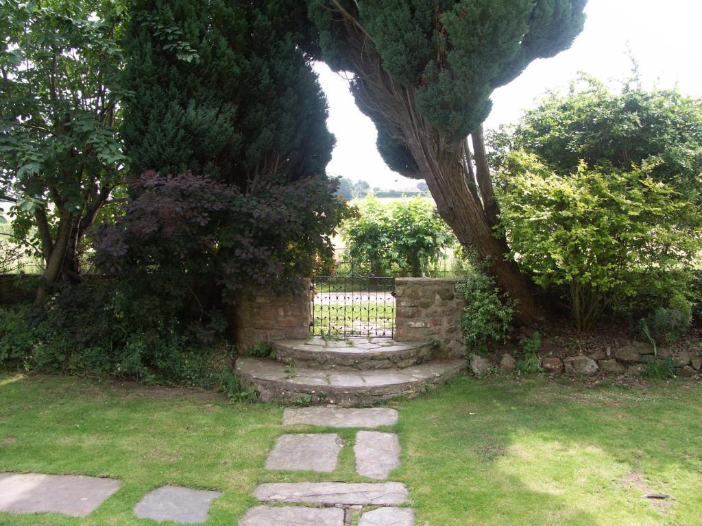 Catwell House Bed & Breakfast Williton Екстериор снимка